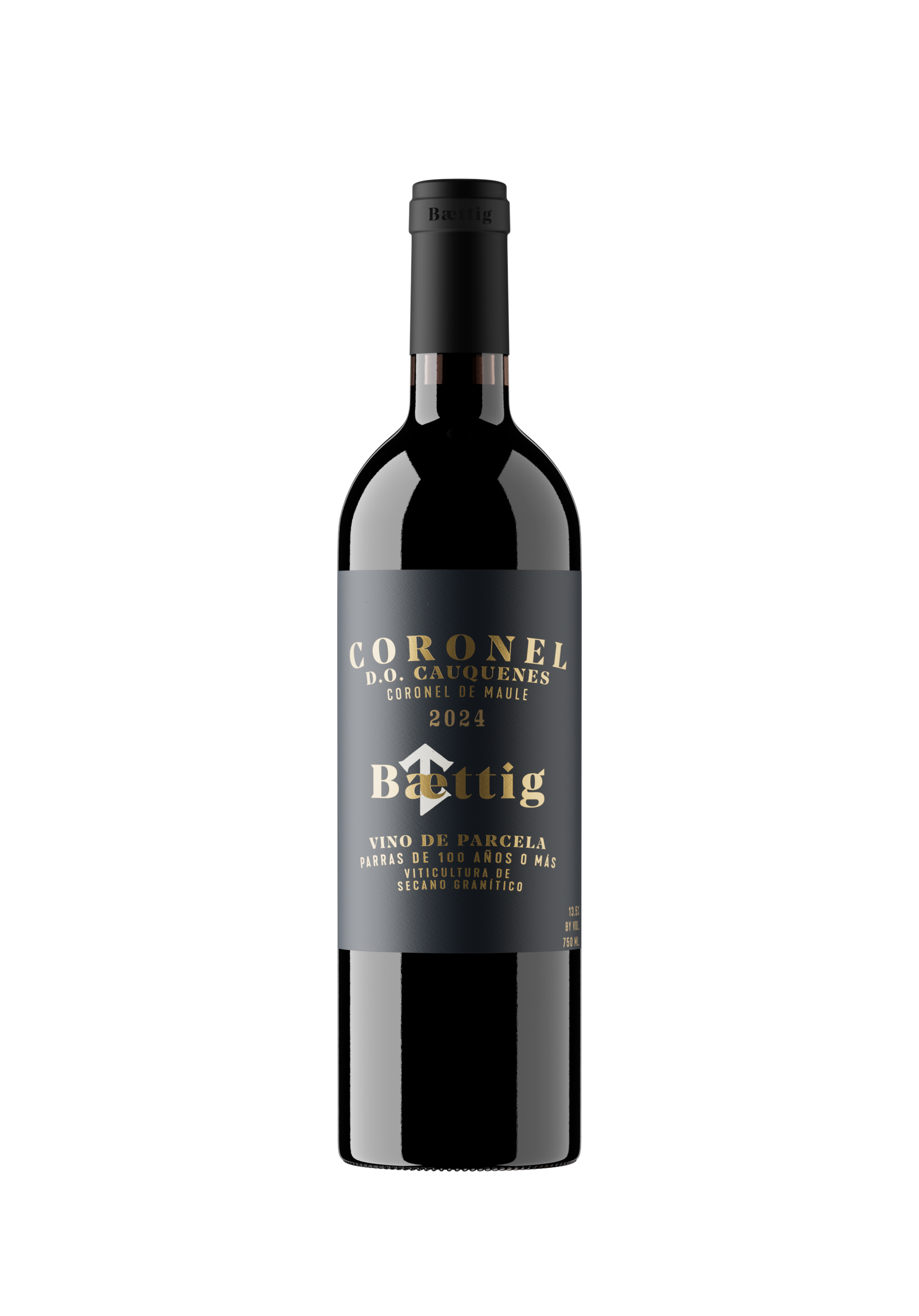 Coronel 2024 coloca Baettig no topo do vinho chileno
