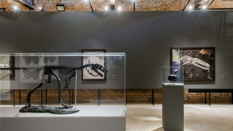 Mostras unem arte e ciência no Museu Nacional