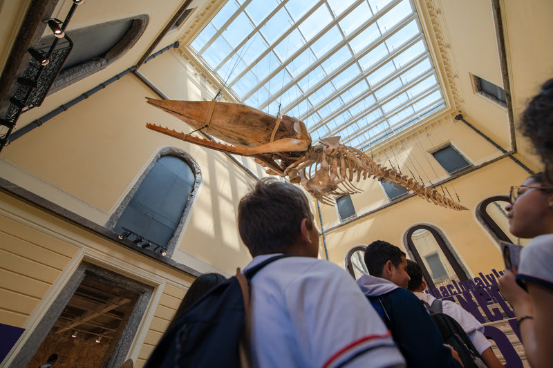 Escolas podem agendar visitas ao Museu Nacional/UFRJ