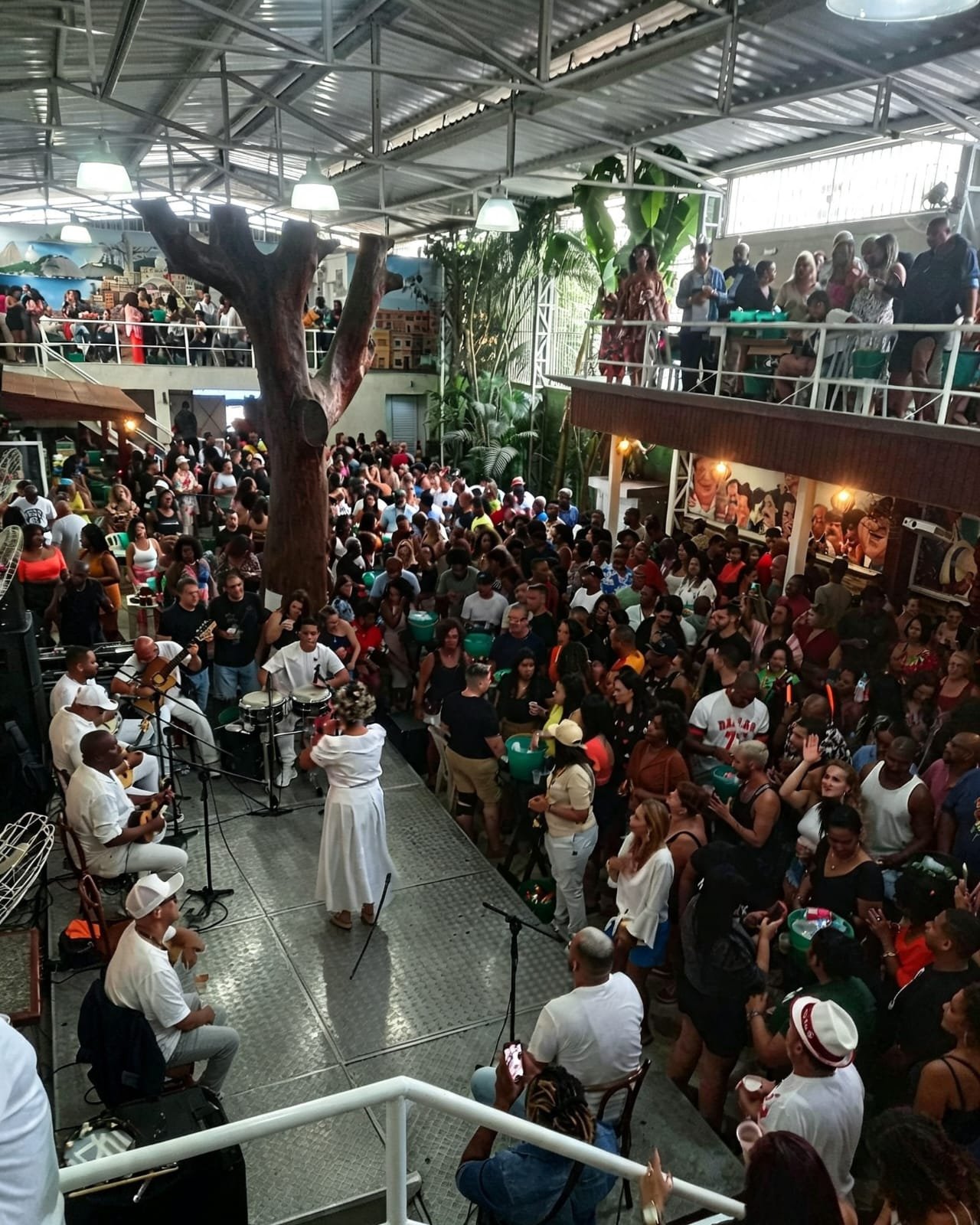 Criolice faz 16 anos em Madureira