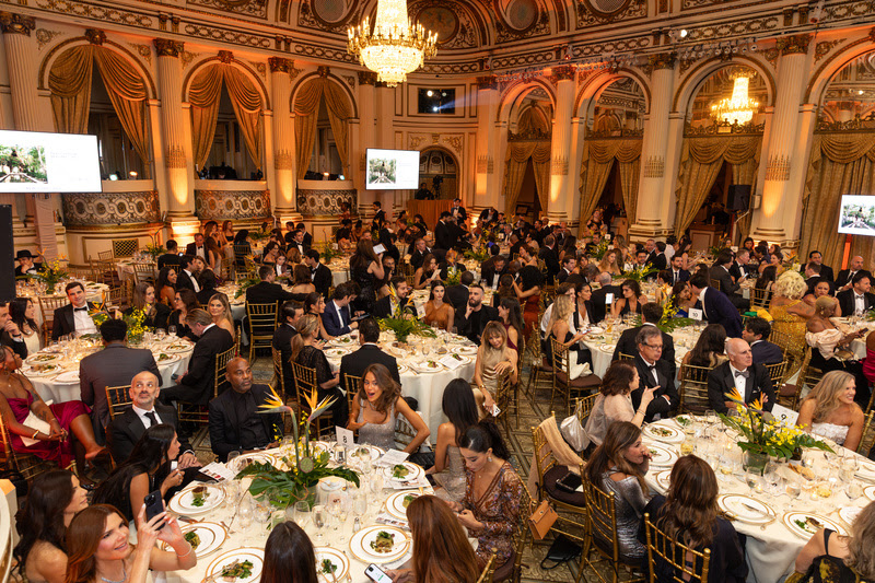 Gala da BrazilFoundation reúne nomes em Nova York